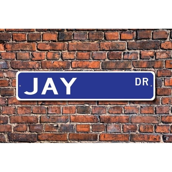Jay Jay Gift Jay Sign Jay decor Jay lover crow family member large noisy birds bird lover Metal Aluminum Sign - Size: 16 x 4 Inches