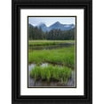 thumbnail image 1 of Jaynes Gallery 11x14 Black Ornate Wood Framed with Double Matting Museum Art Print Titled - Alaska-Sitka Meadow at high tide in Tongass National Forest, 1 of 4