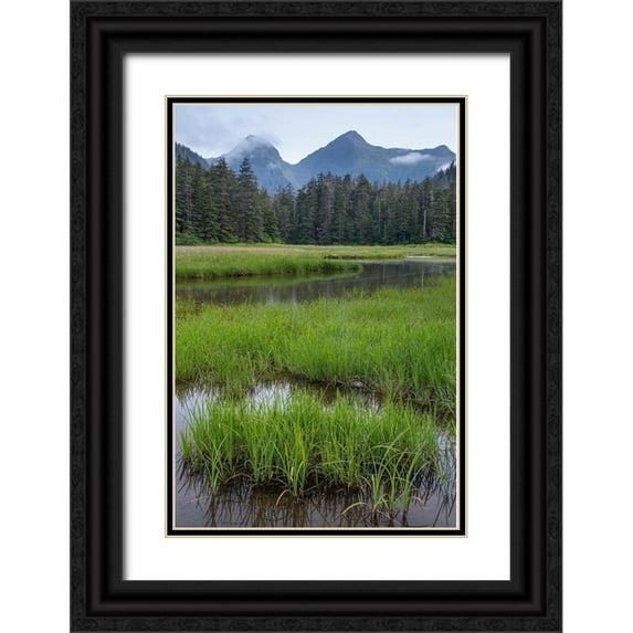 Jaynes Gallery 11x14 Black Ornate Wood Framed with Double Matting Museum Art Print Titled - Alaska-Sitka Meadow at high tide in Tongass National Forest