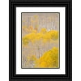 thumbnail image 1 of Jaynes Gallery 11x14 Black Ornate Wood Framed with Double Matting Museum Art Print Titled - USA-Colorado-Uncompahgre National Forest Aspens after autumn snowstorm, 1 of 4