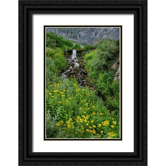Jaynes Gallery 11x14 Black Ornate Wood Framed with Double Matting Museum Art Print Titled - USA-Colorado-Uncompahgre National Forest Mountain landscape with waterfall and wildflowers