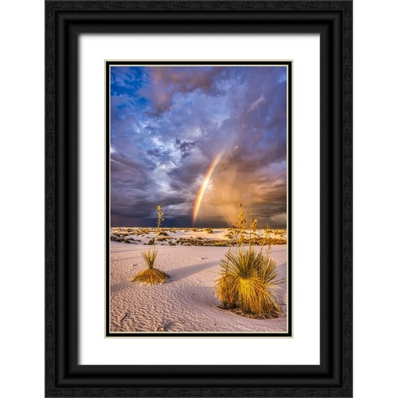 Jaynes Gallery 11x14 Black Ornate Wood Framed with Double Matting Museum Art Print Titled - USA-New Mexico-White Sands National Park Thunderstorm rainbow over desert