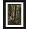 thumbnail image 1 of Jaynes Gallery 11x14 Black Ornate Wood Framed with Double Matting Museum Art Print Titled - Washington State-Olympic National Park Walkway past trees and creek, 1 of 4