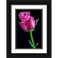 thumbnail image 1 of Jaynes Gallery 11x14 Black Ornate Wood Framed with Double Matting Museum Art Print Titled - Colorado-Ft Collins Rose flower close-up, 1 of 4