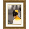 thumbnail image 1 of Jaynes Gallery 11x14 Gold Ornate Wood Framed with Double Matting Museum Art Print Titled - Antarctica-South Georgia Island-Right Whale Bay King penguin preening, 1 of 4