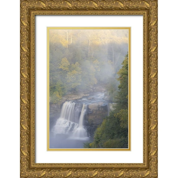 Jaynes Gallery 11x14 Gold Ornate Wood Framed with Double Matting Museum Art Print Titled - USA-West Virginia-Davis Overview of waterfall in Blackwater State Park