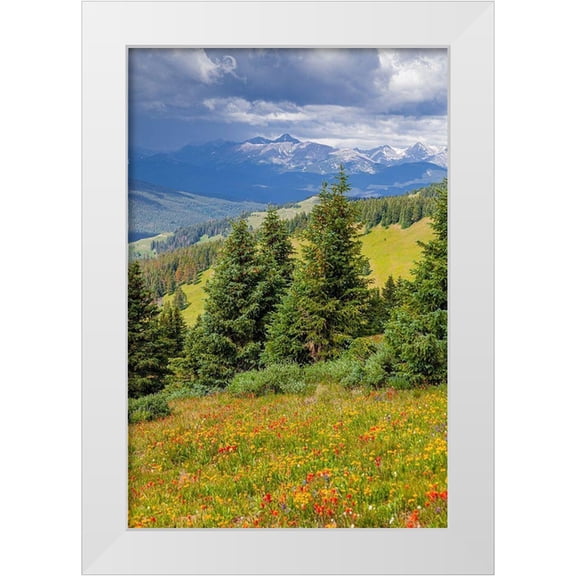 Jaynes Gallery 11x14 White Modern Wood Framed Museum Art Print Titled - Colorado-Shrine Pass-Vail Flowery landscape in summer