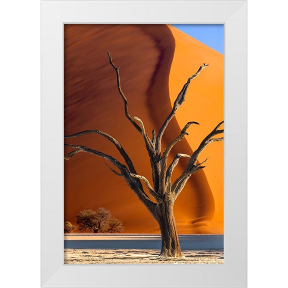 Jaynes Gallery 11x14 White Modern Wood Framed Museum Art Print Titled - Namibia-Sossusvlei-Namib-Naukluft National Park-Composite of dead tree and sand dune