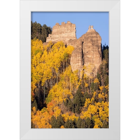 Jaynes Gallery 11x14 White Modern Wood Framed Museum Art Print Titled - USA-Colorado-Uncompahgre National Forest Pinnacle Ridge towers over aspens in autumn