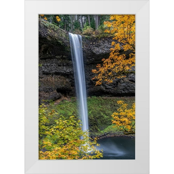 Jaynes Gallery 11x14 White Modern Wood Framed Museum Art Print Titled - USA-Oregon-Silver Falls State Park Tall waterfall and forest in autumn