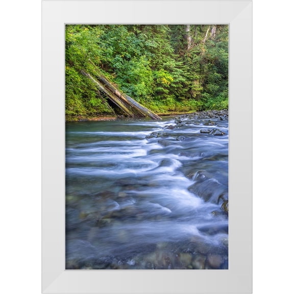 Jaynes Gallery 11x14 White Modern Wood Framed Museum Art Print Titled - USA-Washington State-Olympic National Forest Rapids on Duckabush River