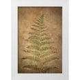 thumbnail image 1 of Jaynes Gallery 11x14 White Modern Wood Framed Museum Art Print Titled - USA-Washington State-Seabeck Close-up of bracken fern pattern, 1 of 4