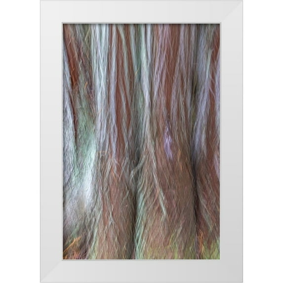 Jaynes Gallery 11x14 White Modern Wood Framed Museum Art Print Titled - USA-Washington State-Seabeck Forest fantasy composite in Guillemot Cove Nature Preserve