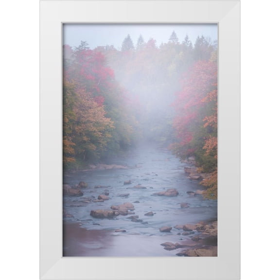 Jaynes Gallery 11x14 White Modern Wood Framed Museum Art Print Titled - USA-West Virginia-Davis Foggy stream in Blackwater State Park