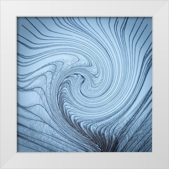 Jaynes Gallery 12x12 White Modern Wood Framed Museum Art Print Titled - USA-Washington State-Seabeck Downy feather with a twist