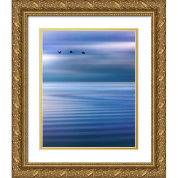 Jaynes Gallery 12x14 Gold Ornate Wood Framed with Double Matting Museum Art Print Titled - Washington State-Seabeck Composite of birds flying over Hood Canal