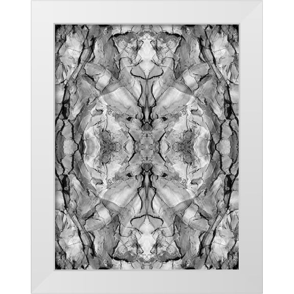 Jaynes Gallery 12x14 White Modern Wood Framed Museum Art Print Titled - Black and white of quiver tree bark abstract