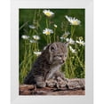 thumbnail image 1 of Jaynes Gallery 12x14 White Modern Wood Framed Museum Art Print Titled - Montana Baby bobcat close-up, 1 of 4