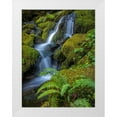 thumbnail image 1 of Jaynes Gallery 12x14 White Modern Wood Framed Museum Art Print Titled - USA-Washington State-Olympic National Park Cedar Creek cascades through moss- covered boulders, 1 of 4