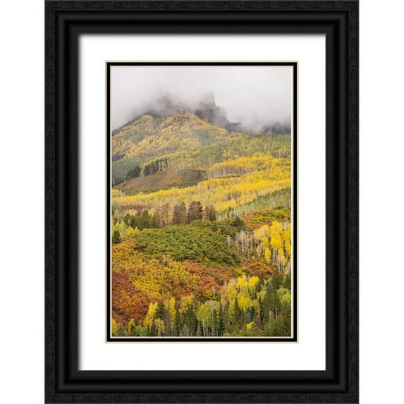 Jaynes Gallery 13x18 Black Ornate Wood Framed with Double Matting Museum Art Print Titled - USA-Colorado-Uncompahgre National Forest Cloud and autumn-colored forest