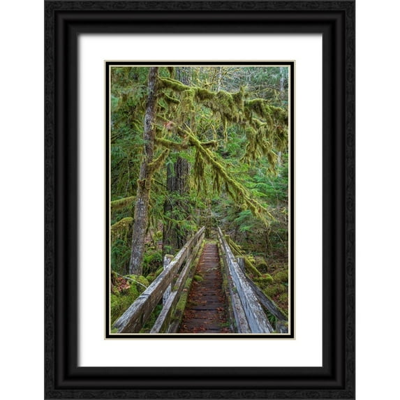 Jaynes Gallery 13x18 Black Ornate Wood Framed with Double Matting Museum Art Print Titled - Washington State-Olympic National Park Walkway through bigleaf maples forest