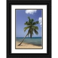thumbnail image 1 of Jaynes Gallery 13x18 Black Ornate Wood Framed with Double Matting Museum Art Print Titled - Puerto Rico-Vieques Coconut palm tree on Green Beach, 1 of 4
