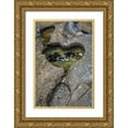 thumbnail image 1 of Jaynes Gallery 13x18 Gold Ornate Wood Framed with Double Matting Museum Art Print Titled - Alaska-Chichagof Island-Basket Bay Heart-shaped pool in rock, 1 of 4