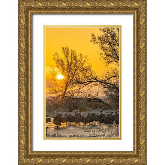 Jaynes Gallery 13x18 Gold Ornate Wood Framed with Double Matting Museum Art Print Titled - USA-New Mexico-Bernardo Wildlife Management Area-Sandhill cranes in icy water on foggy sunrise