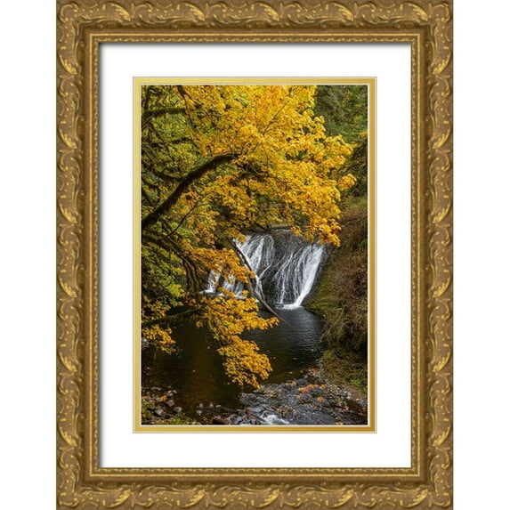 Jaynes Gallery 13x18 Gold Ornate Wood Framed with Double Matting Museum Art Print Titled - USA-Oregon-Silver Falls State Park Lower South Falls waterfall landscape