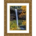 thumbnail image 1 of Jaynes Gallery 13x18 Gold Ornate Wood Framed with Double Matting Museum Art Print Titled - USA-Oregon-Silver Falls State Park Tall waterfall and forest in autumn, 1 of 4