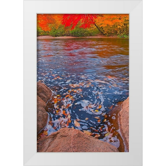Jaynes Gallery 13x18 White Modern Wood Framed Museum Art Print Titled - Canada-Nova Scotia-Cape Breton Island North Aspy River and forest in autumn