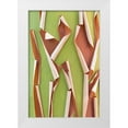 thumbnail image 1 of Jaynes Gallery 13x18 White Modern Wood Framed Museum Art Print Titled - USA-Washington State-Seabeck Peeling madrone tree bark, 1 of 4