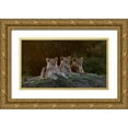thumbnail image 1 of Jaynes Gallery 14x10 Gold Ornate Wood Framed with Double Matting Museum Art Print Titled - Africa-Kenya-Maasai Mara National Reserve Three resting lions, 1 of 4