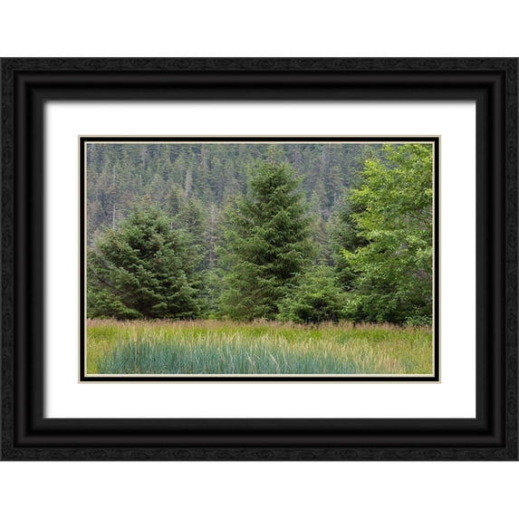 Jaynes Gallery 14x11 Black Ornate Wood Framed with Double Matting Museum Art Print Titled - Alaska-Tongass National Forest Meadow and forest landscape