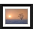 thumbnail image 1 of Jaynes Gallery 14x11 Black Ornate Wood Framed with Double Matting Museum Art Print Titled - Canada-Manitoba-Dugald Hoarfrost covered cottonwood tree in fog at sunrise, 1 of 4