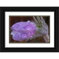 thumbnail image 1 of Jaynes Gallery 14x11 Black Ornate Wood Framed with Double Matting Museum Art Print Titled - Canada-Manitoba-Sandilands Provincial Forest Prairie crocus flowers with dew lose-up, 1 of 4