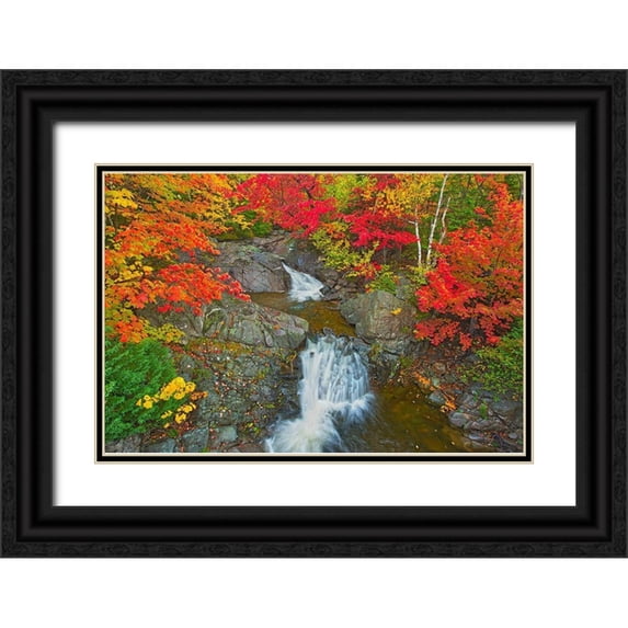 Jaynes Gallery 14x11 Black Ornate Wood Framed with Double Matting Museum Art Print Titled - Canada-Nova Scotia-Cape Breton Island Morrison Brook and forest in autumn foliage