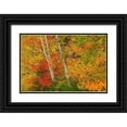thumbnail image 1 of Jaynes Gallery 14x11 Black Ornate Wood Framed with Double Matting Museum Art Print Titled - Canada-Quebec-La Mauricie National Park Autumn forest colors, 1 of 4