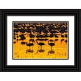 thumbnail image 1 of Jaynes Gallery 14x11 Black Ornate Wood Framed with Double Matting Museum Art Print Titled - USA-New Mexico-Bosque Del Apache National Wildlife Refuge-Sandhill crane silhouettes in water at su, 1 of 4