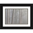 thumbnail image 1 of Jaynes Gallery 14x11 Black Ornate Wood Framed with Double Matting Museum Art Print Titled - Washington State-Seabeck Forest fog in Scenic Beach State Park, 1 of 4