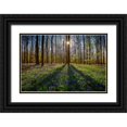 thumbnail image 1 of Jaynes Gallery 14x11 Black Ornate Wood Framed with Double Matting Museum Art Print Titled - Europe-Belgium-Hallerbos forest with blooming bluebells, 1 of 4