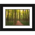 thumbnail image 1 of Jaynes Gallery 14x11 Black Ornate Wood Framed with Double Matting Museum Art Print Titled - Europe-Belgium-Path in Hallerbos forest, 1 of 4