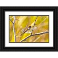 thumbnail image 1 of Jaynes Gallery 14x11 Black Ornate Wood Framed with Double Matting Museum Art Print Titled - USA-Colorado-Boulder Dragonfly on stem, 1 of 4