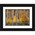 thumbnail image 1 of Jaynes Gallery 14x11 Black Ornate Wood Framed with Double Matting Museum Art Print Titled - USA-Utah-Ashley National Forest Aspen forest in autumn, 1 of 4