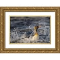 thumbnail image 1 of Jaynes Gallery 14x11 Gold Ornate Wood Framed with Double Matting Museum Art Print Titled - Antarctica-South Georgia Island-Salisbury Plain King penguin emerging from surf, 1 of 4