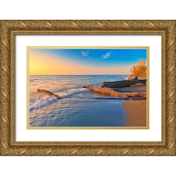 Jaynes Gallery 14x11 Gold Ornate Wood Framed with Double Matting Museum Art Print Titled - Canada-Ontario-Point Pelee National Park Driftwood on Lake Erie shoreline at sunrise