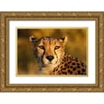 thumbnail image 1 of Jaynes Gallery 14x11 Gold Ornate Wood Framed with Double Matting Museum Art Print Titled - Kenya-Masai Mara National Reserve Cheetah close-up at sunset, 1 of 4