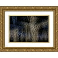 thumbnail image 1 of Jaynes Gallery 14x11 Gold Ornate Wood Framed with Double Matting Museum Art Print Titled - USA-Arizona-Buckeye-Abstract of decorated trees at night during Christmas, 1 of 4