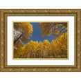 thumbnail image 1 of Jaynes Gallery 14x11 Gold Ornate Wood Framed with Double Matting Museum Art Print Titled - USA-Colorado-Uncompahgre National Forest Aspen tree grove in fall color, 1 of 4