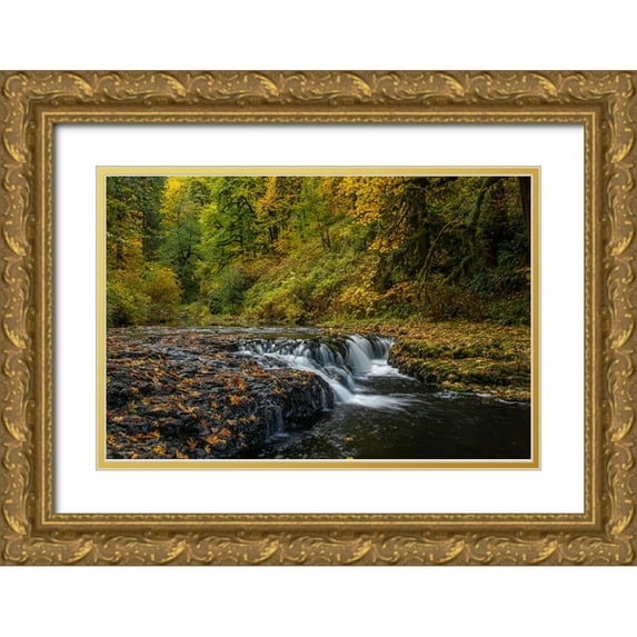 Jaynes Gallery 14x11 Gold Ornate Wood Framed with Double Matting Museum Art Print Titled - USA-Oregon-Silver Falls State Park Waterfalls and forest in autumn